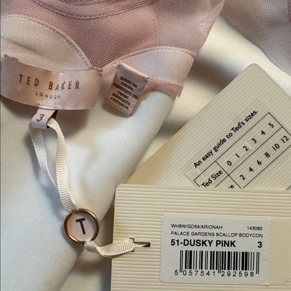 NWT TED BAKER  Arionah Palace Gardens Scallop Dusty Pink dress size 3, size US 8 - Picture 14 of 16